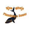 Blue Whale Backflow, Plumbing, & Excavating gallery