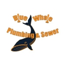 Blue Whale Backflow, Plumbing, & Excavating - Plumbers