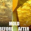 Smart: Mold & Water Restoration gallery