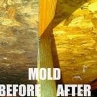 Smart: Mold & Water Restoration
