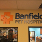 Banfield Pet Hospital