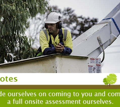 Trimmer Tree - Wonthaggi, VIC. Free Quotes