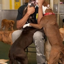 Camp Canine - Pet Boarding & Kennels