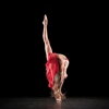 Southern Pointe Dance Academy gallery