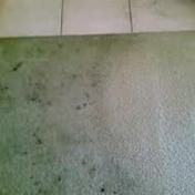 Gallery Image Number 1