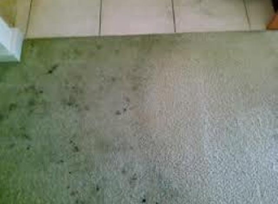 Ridogrit Carpet Cleaning - Benalla, VIC