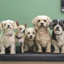 CityVet | West 7th - Pet Services