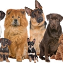 T.H.O.M.A.S.'s Custom K9 - Pet Stores