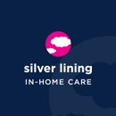 Silver Lining Home Healthcare - Dover - Nurses