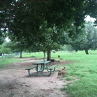 Benjamin Biscuit Acres Dog Park