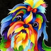 Lil Critters Pet Salon gallery