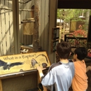 Carolina Raptor Center - Nature Centers