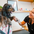 Sploot Veterinary Care-Logan Square
