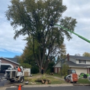 Smetters Tree Service - Tree Service