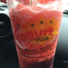 Yogurt Plus