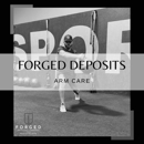 Forged Physical Therapy and Performance - Health Clubs