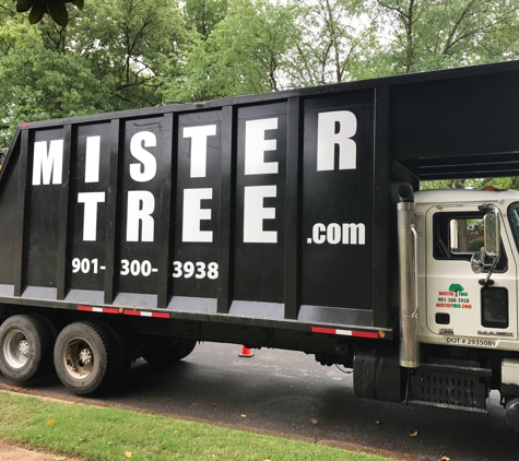 Mister Tree - Memphis, TN