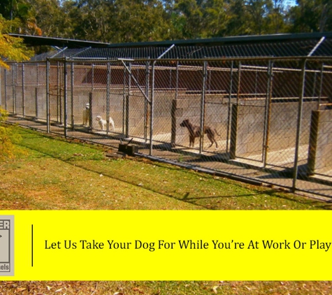 Chandler Boarding Kennels - Chandler, QLD. Let Us Take Your Dog For While You’re At Work Or Play
