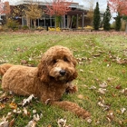 Center for Hospice Care