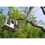 Gordon W. Frazier Tree Service