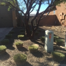Sunny Desert Landscaping - Landscaping & Lawn Services