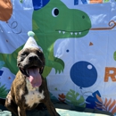 Maggie Waggie Tails - Day Care Centers & Nurseries
