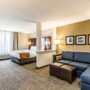 Comfort Suites Channelview - Houston East - Motels