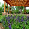 Green Landscape Solutions gallery