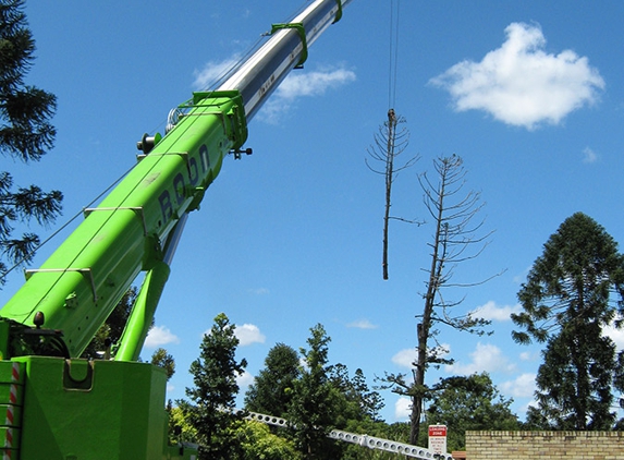 The Tree Doctor (Qld) Pty Ltd - Everton Hills, QLD