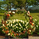 Chatham Flowers & Gifts - Florists