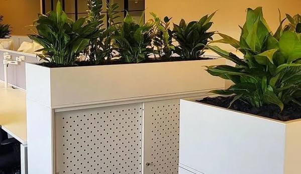 D&L Indoor Plant Hire & Garden Maintenance - Shell Cove, NSW