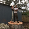 DEROSA'S TREE SERVICE gallery