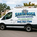 Santa Rosa Raccoon Removal - Pest Control Services