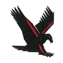 American Eagle Electric - Electric Equipment & Supplies