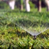 Sky Island Irrigation and Landscape Lighting gallery