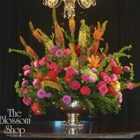 Four Seasons Flowers