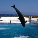 Sea Life Park Hawaii - Zoos