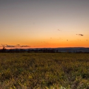 The Preserve - Trapping Equipment & Supplies