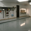 Garaginization Dfw's Garage Solution Pros gallery