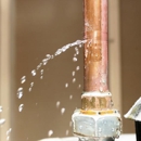 NF Plumbing - Water Damage Emergency Service