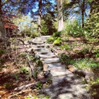 Laurelwood Arboretum