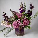 Sweet William & Thyme