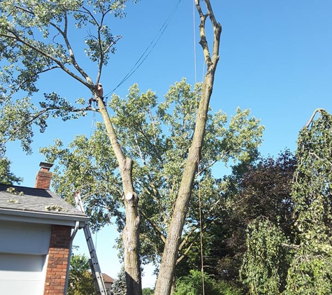 Arborist Care Tree Service - Columbus, OH