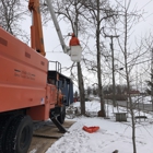 Apple Valley Tree Service