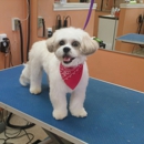 Pretty Paws Dog Grooming - Pet Grooming