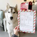 The Crazy Dog Mom - Pet Stores