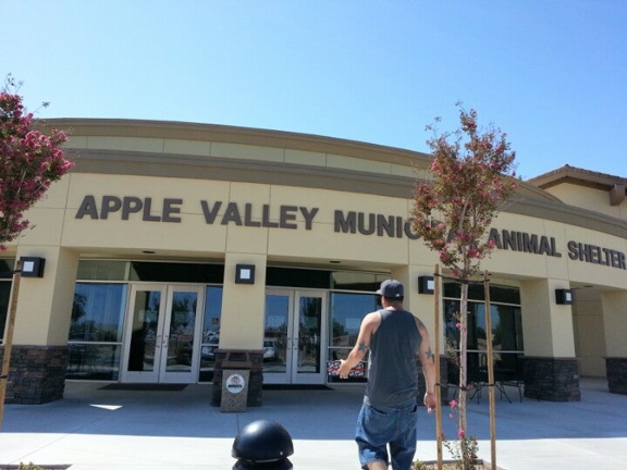 Apple Valley Animal Shelter - Apple Valley, CA