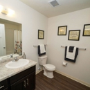 Chase Creek Apartments - Apartments