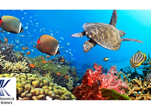 Australian Institute Of Marine Science - South Townsville, QLD