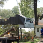 Gulf Coast Tree Specialists